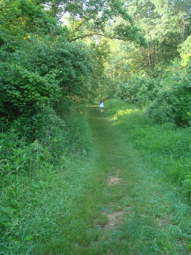 Picture 5 of Ivy Creek Hike 053011