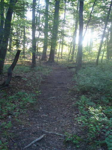 Picture 6 of Ivy Creek Hike 053011
