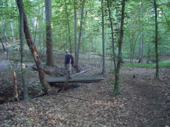 Picture 7 of Ivy Creek Hike 053011