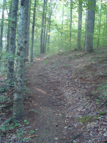 Picture 9 of Ivy Creek Hike 053011