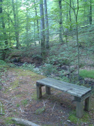 Picture 10 of Ivy Creek Hike 053011