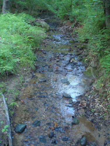Picture 11 of Ivy Creek Hike 053011
