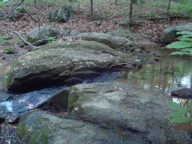 Picture 12 of Ivy Creek Hike 053011