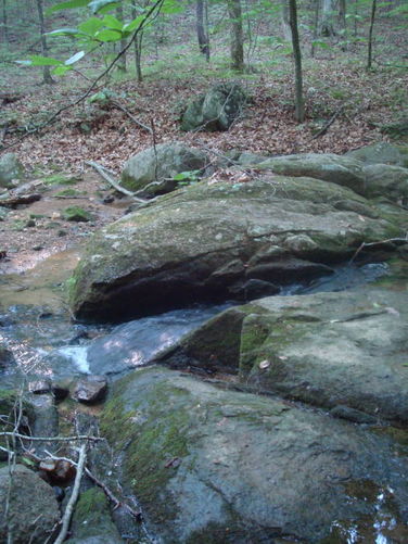 Picture 13 of Ivy Creek Hike 053011