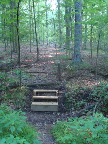 Picture 17 of Ivy Creek Hike 053011