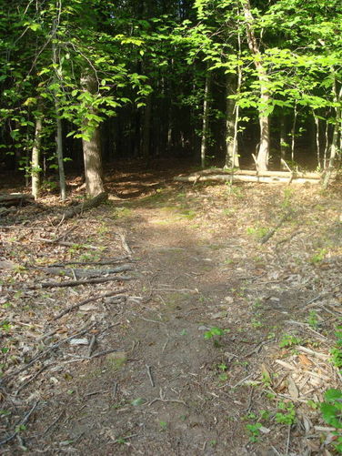 Picture 18 of Ivy Creek Hike 053011