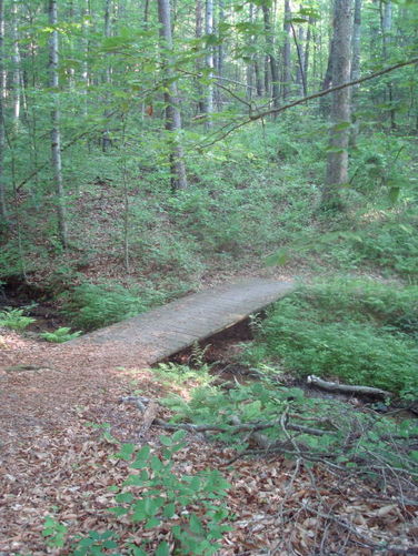 Picture 19 of Ivy Creek Hike 053011
