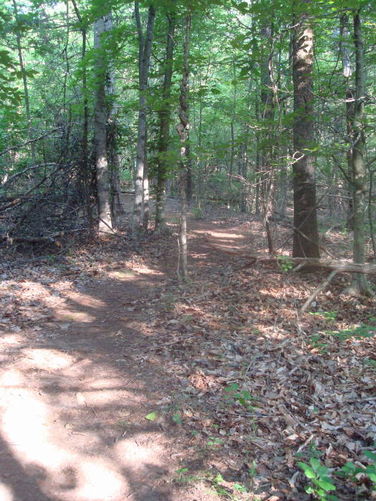 Picture 20 of Ivy Creek Hike 053011