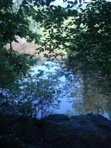 Picture 22 of Ivy Creek Hike 053011