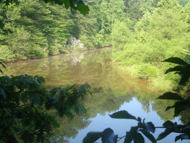 Picture 23 of Ivy Creek Hike 053011