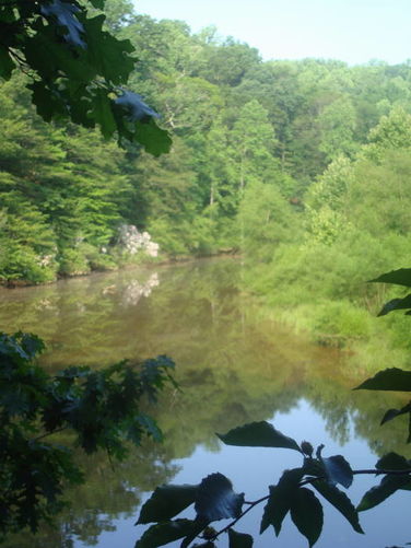 Picture 24 of Ivy Creek Hike 053011