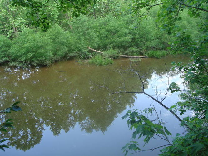 Picture 25 of Ivy Creek Hike 053011