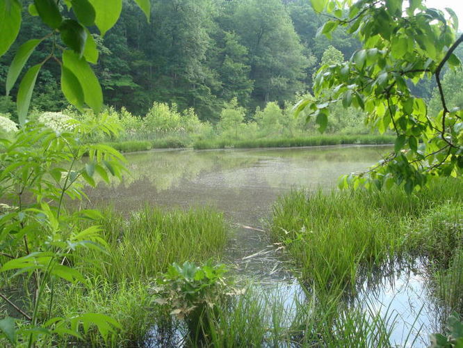 Default image for Ivy Creek Hike, a 4.3-mile trail in Charlottesville, VA (US)