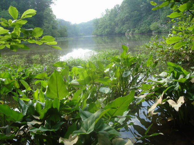 Picture 29 of Ivy Creek Hike 053011