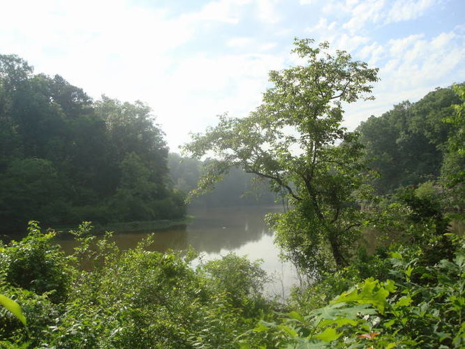Picture 31 of Ivy Creek Hike 053011