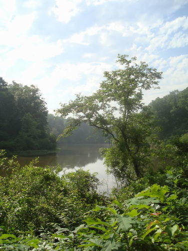 Picture 32 of Ivy Creek Hike 053011