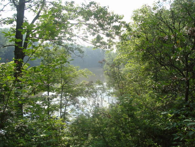 Picture 33 of Ivy Creek Hike 053011