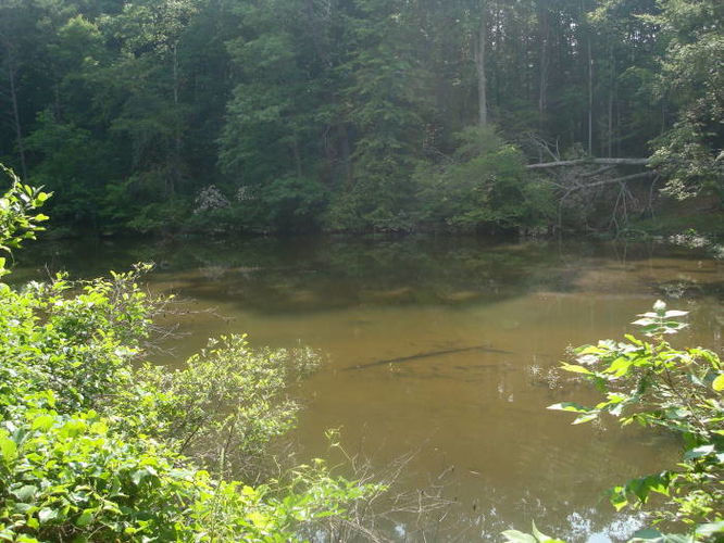 Picture 34 of Ivy Creek Hike 053011