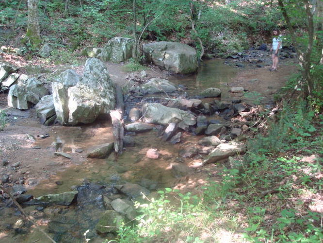 Picture 35 of Ivy Creek Hike 053011