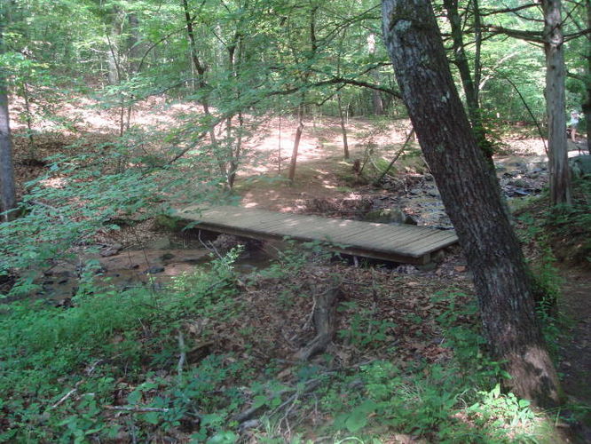 Picture 38 of Ivy Creek Hike 053011
