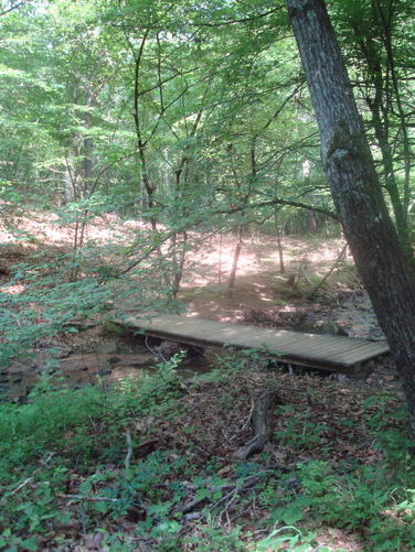 Picture 39 of Ivy Creek Hike 053011