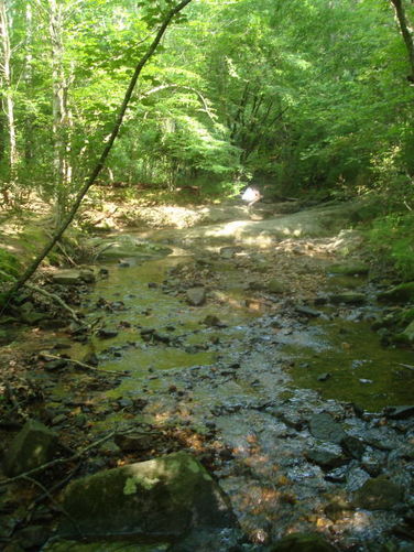 Picture 40 of Ivy Creek Hike 053011