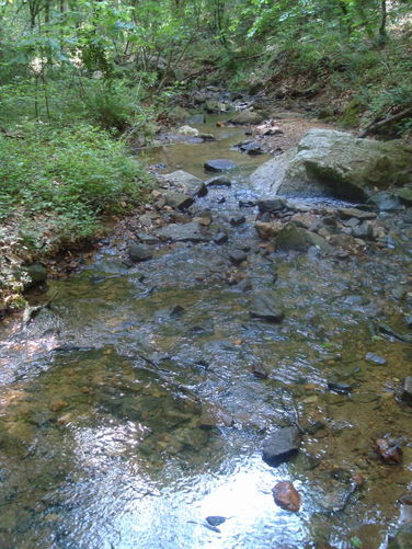 Picture 41 of Ivy Creek Hike 053011
