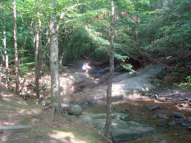 Picture 42 of Ivy Creek Hike 053011