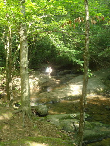 Picture 43 of Ivy Creek Hike 053011