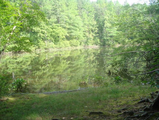 Picture 45 of Ivy Creek Hike 053011