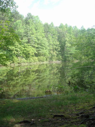 Picture 46 of Ivy Creek Hike 053011