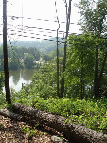 Picture 47 of Ivy Creek Hike 053011