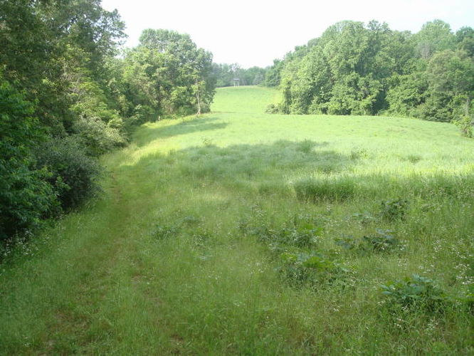 Picture 48 of Ivy Creek Hike 053011