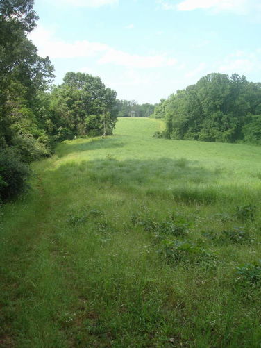 Picture 49 of Ivy Creek Hike 053011