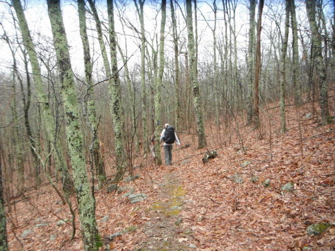 Picture 7 of Jacket Ridge Hike 032412