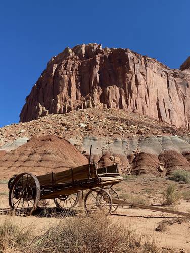 Old orchard / farming wagon