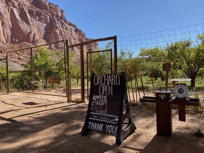 Jackson Orchard entrance