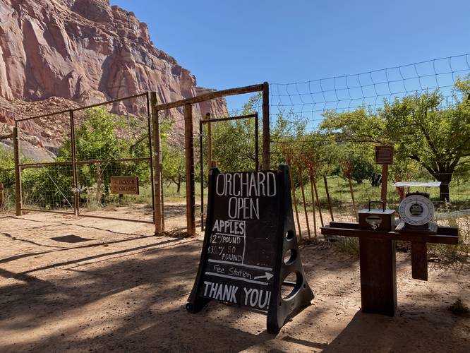 Jackson Orchard entrance