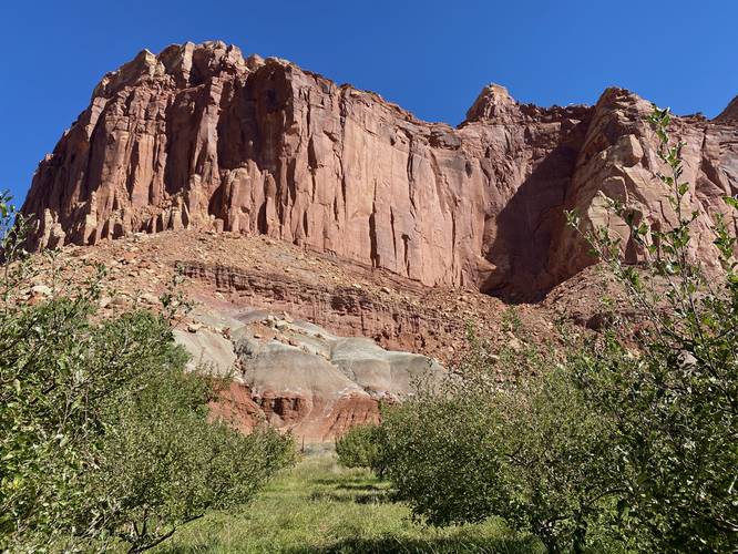 Jackson Orchard at Capitol Reef National Park