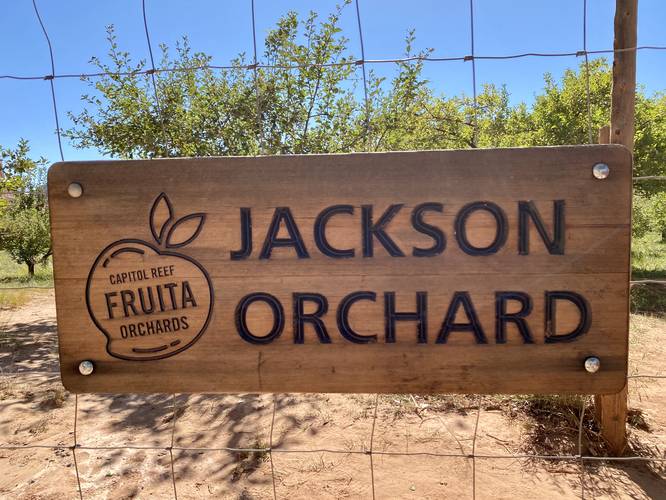 Jackson Orchard at Capitol Reef National Park