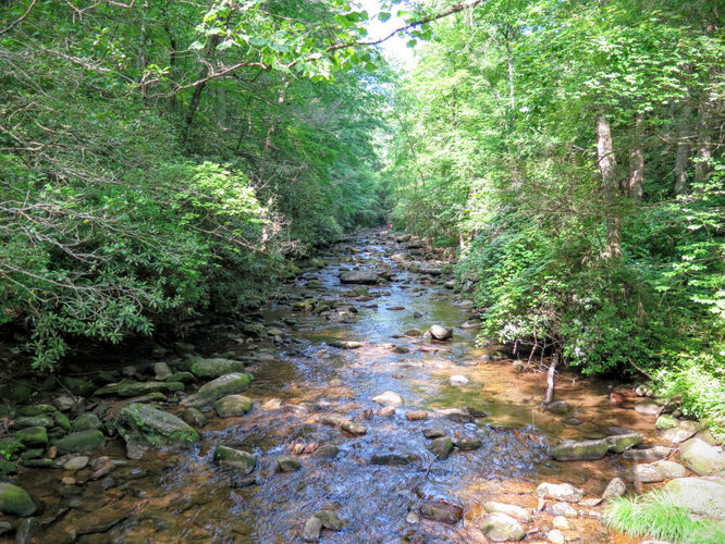 Picture 4 of Jacob Fork Rim Hike 060416