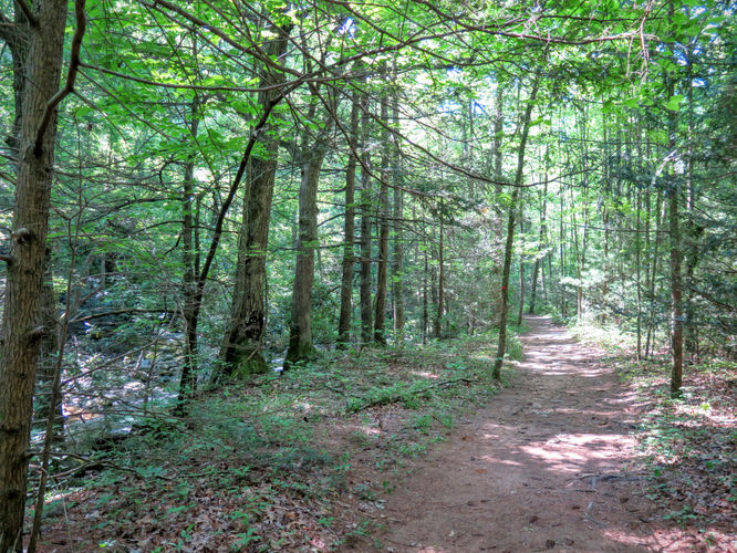 Picture 5 of Jacob Fork Rim Hike 060416