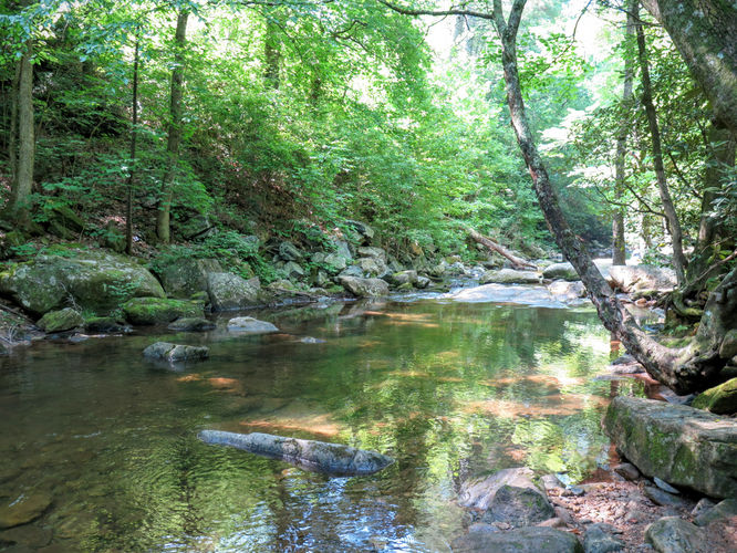 Picture 6 of Jacob Fork Rim Hike 060416