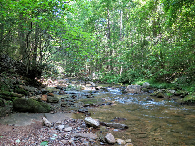 Picture 7 of Jacob Fork Rim Hike 060416