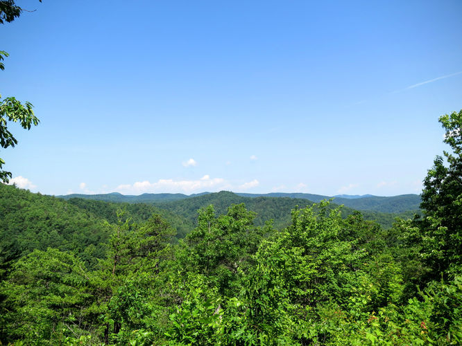 Picture 14 of Jacob Fork Rim Hike 060416