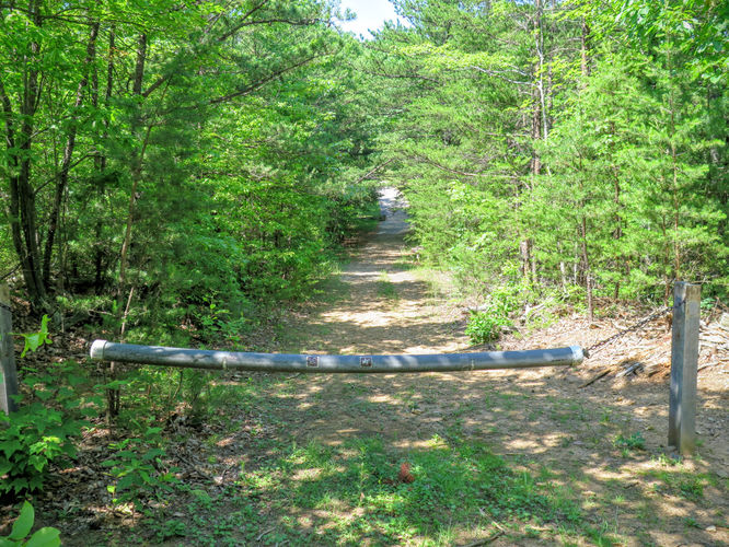 Picture 20 of Jacob Fork Rim Hike 060416