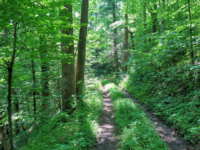Picture 28 of Jacob Fork Rim Hike 060416