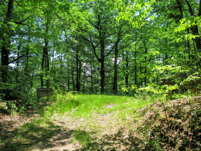 Picture 29 of Jacob Fork Rim Hike 060416