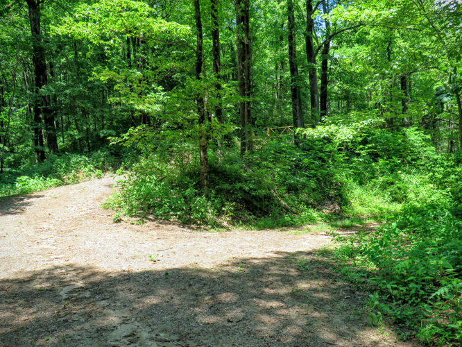Picture 30 of Jacob Fork Rim Hike 060416