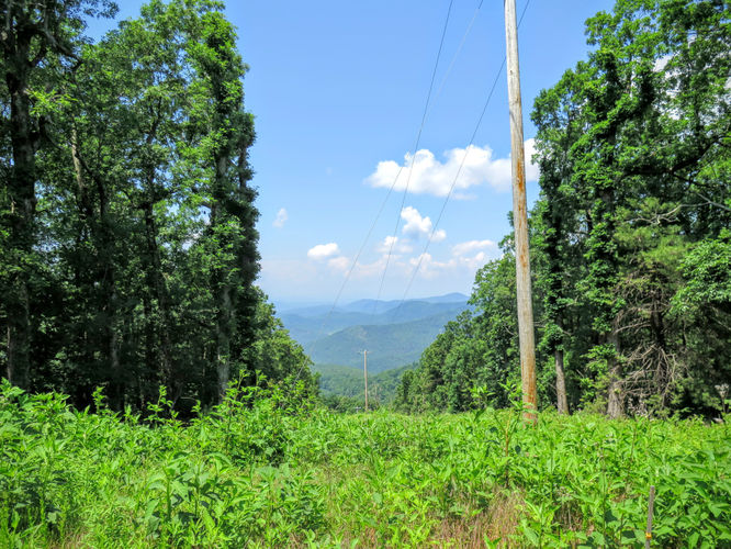 Picture 32 of Jacob Fork Rim Hike 060416
